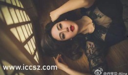 在线播放国产精品三级