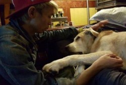 国产人与狗,探寻人类与动物和谐共生的奥秘