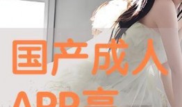 成人网国产,繁荣与挑战并存