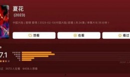 在线国产播放,在线播放平台引领潮流