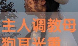 主人调教视频国产,从调教视频看国产崛起之路