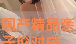 国产对白在线视频,沉浸式观影体验，解锁国产影视新境界