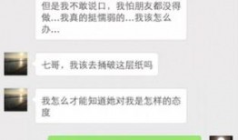 国产113页,深度解析我国科技发展的新篇章