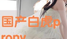 pron国产在线,Pron国产在线引领潮流